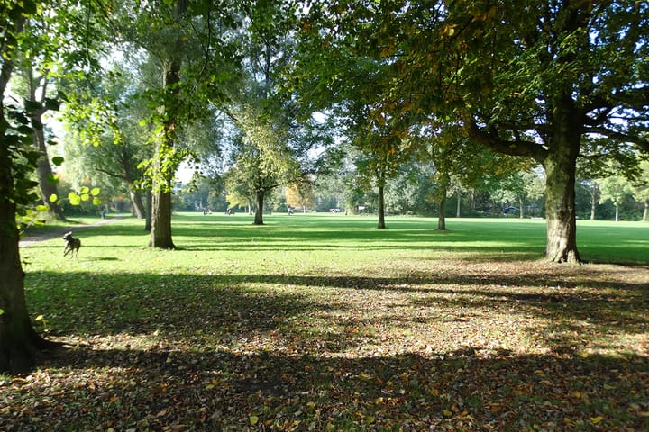 Foto 17 van J.H. Leopoldstraat 11-I