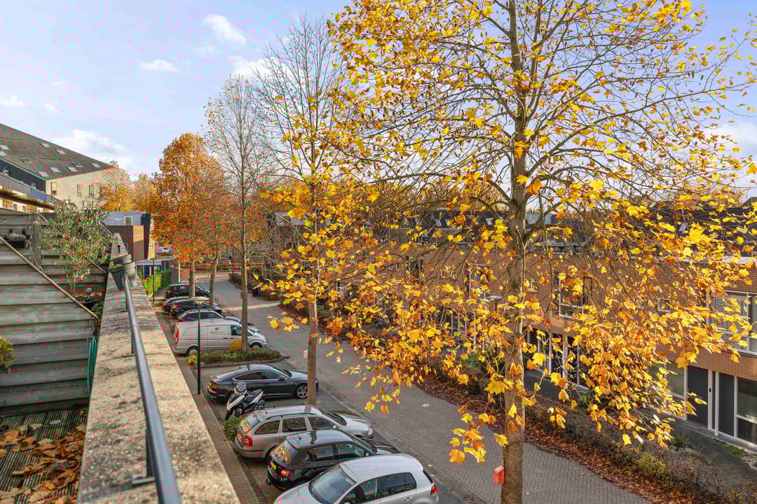 Foto 28 van Catharina van Rennesstraat 24