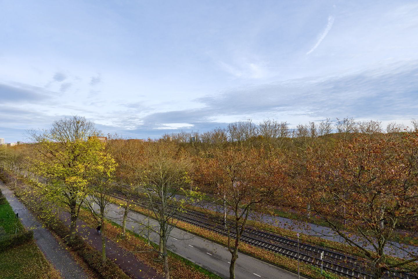 Foto 4 van Livingstonelaan 828