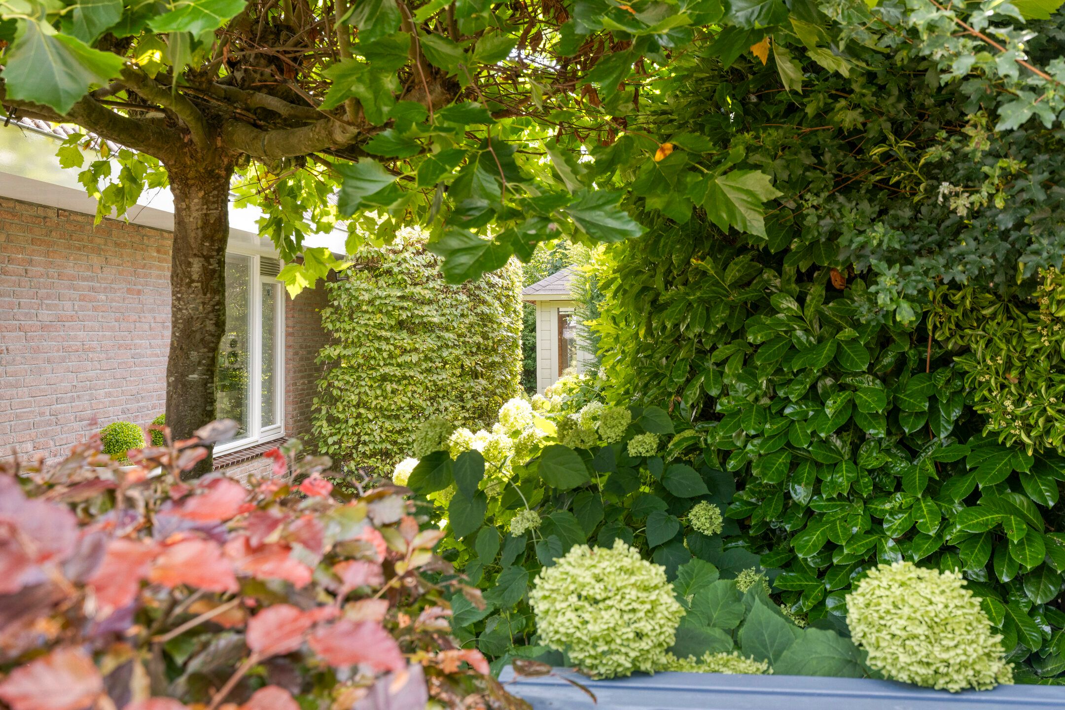 Foto 30 van Graanstraat 72