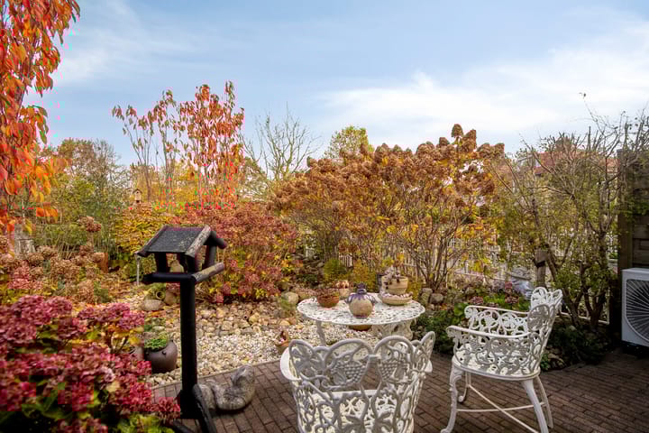 Foto 9 van Schoener 25