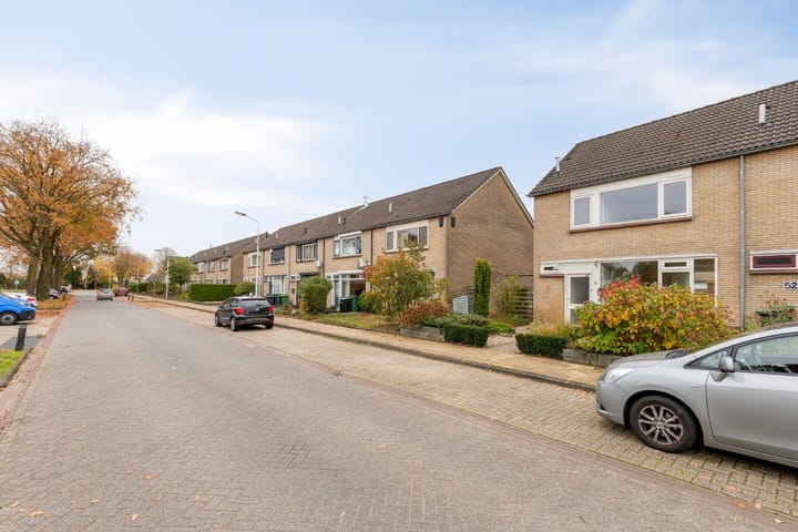 Foto 29 van Lupinenstraat 54