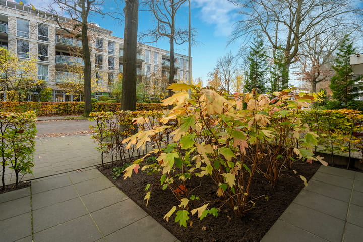 Photo 8 of Professor Gimbrèrelaan 61