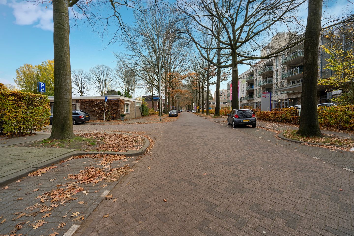 Foto 44 van Professor Gimbrèrelaan 61