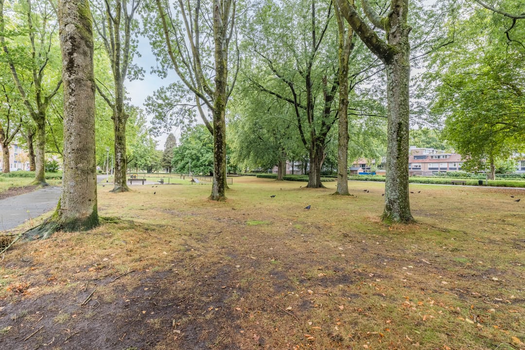 Photo 26 of Postelse Hoeflaan 184