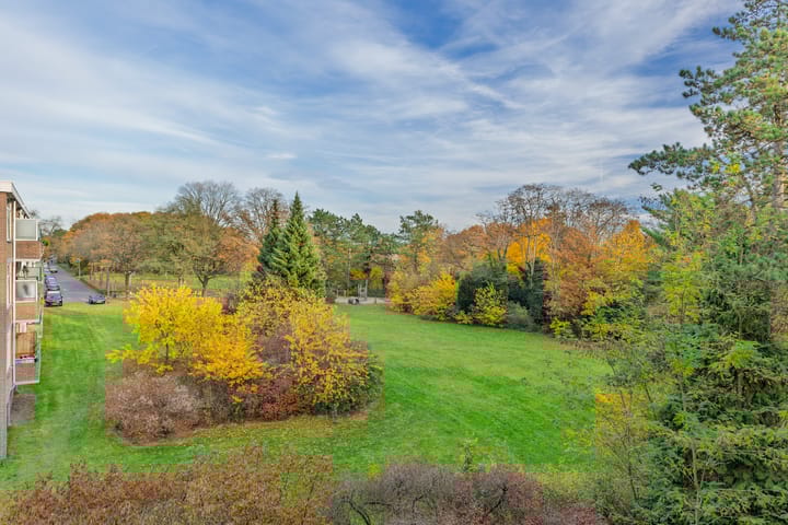 Photo 10 of Lange Heul 706