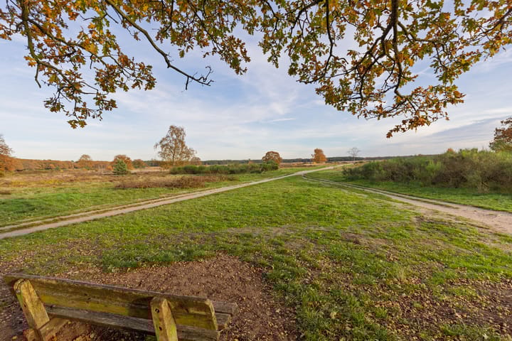 Photo 15 of Lange Heul 706