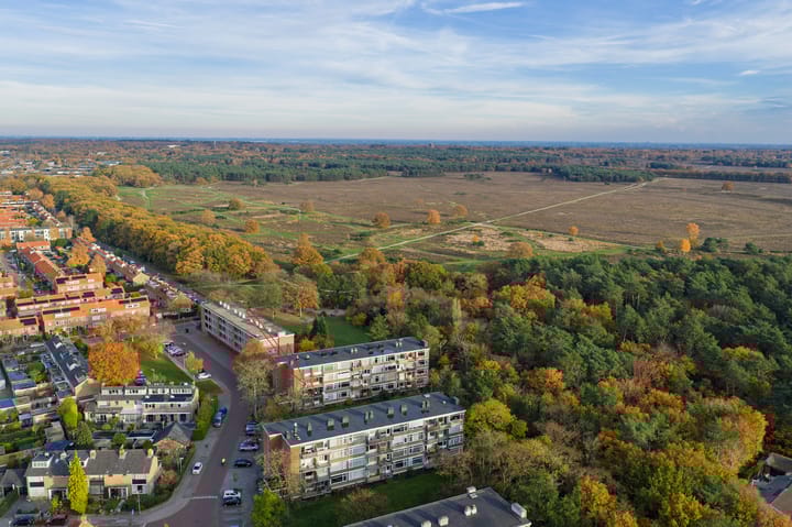 Photo 17 of Lange Heul 706