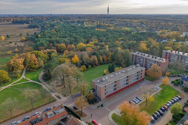 Photo 19 of Lange Heul 706