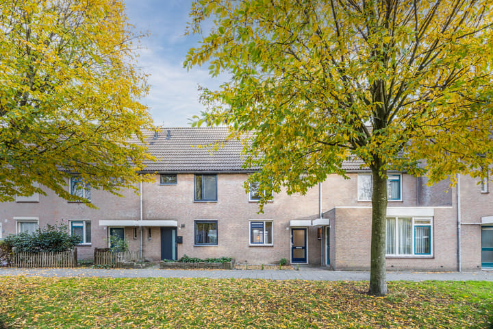 Foto 1 van Wijngaard 10