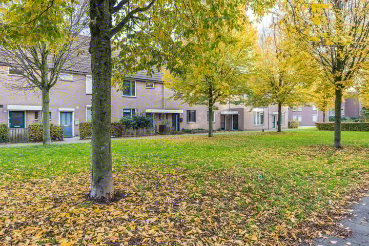 Foto 39 van Wijngaard 10