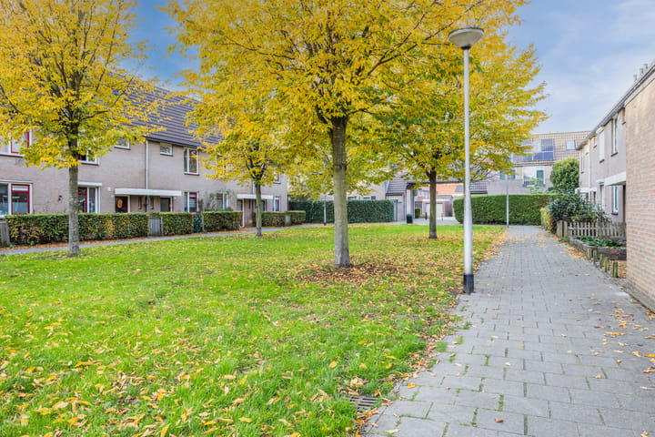 Foto 40 van Wijngaard 10