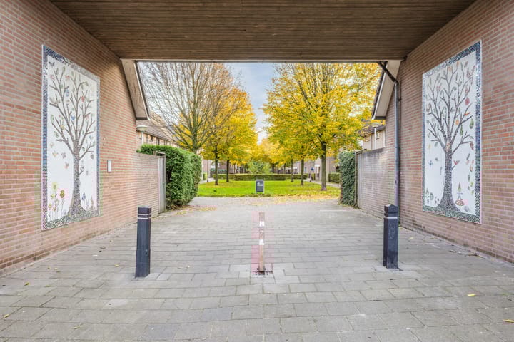 Foto 46 van Wijngaard 10