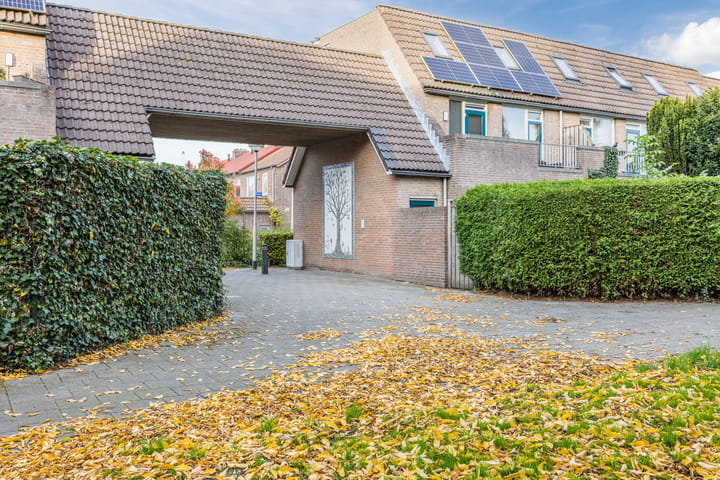 Foto 45 van Wijngaard 10