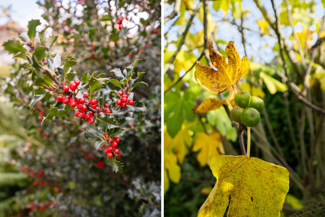 Photo 52 of V.d. Duijn van Maasdamlaan 6