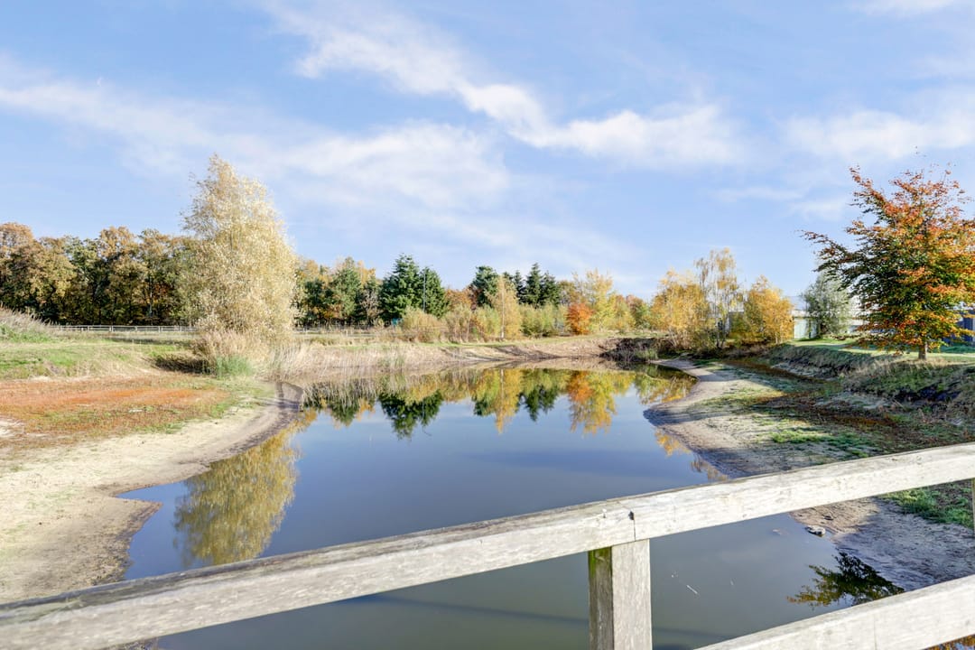 Foto 38 van de Rijt 9