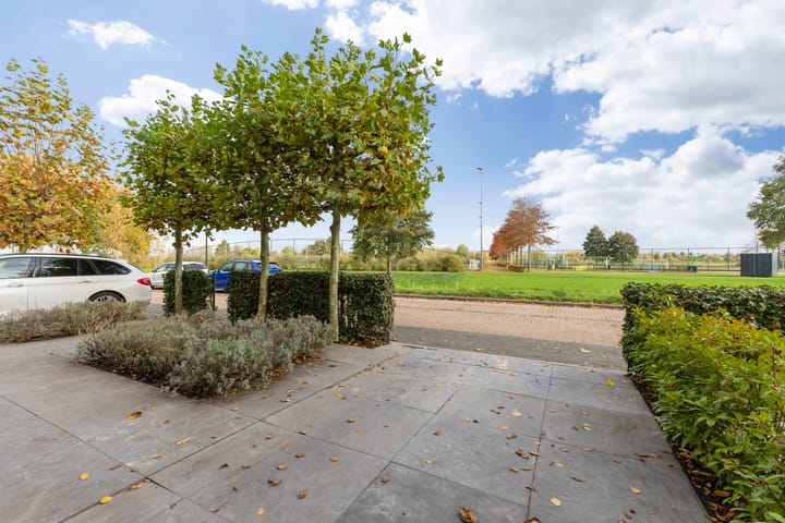 Photo 6 of Schrepel 40