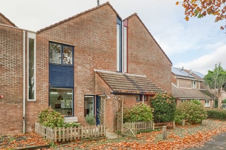 undefined main image