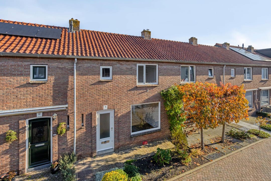 Foto 17 van Witbloemstraat 3