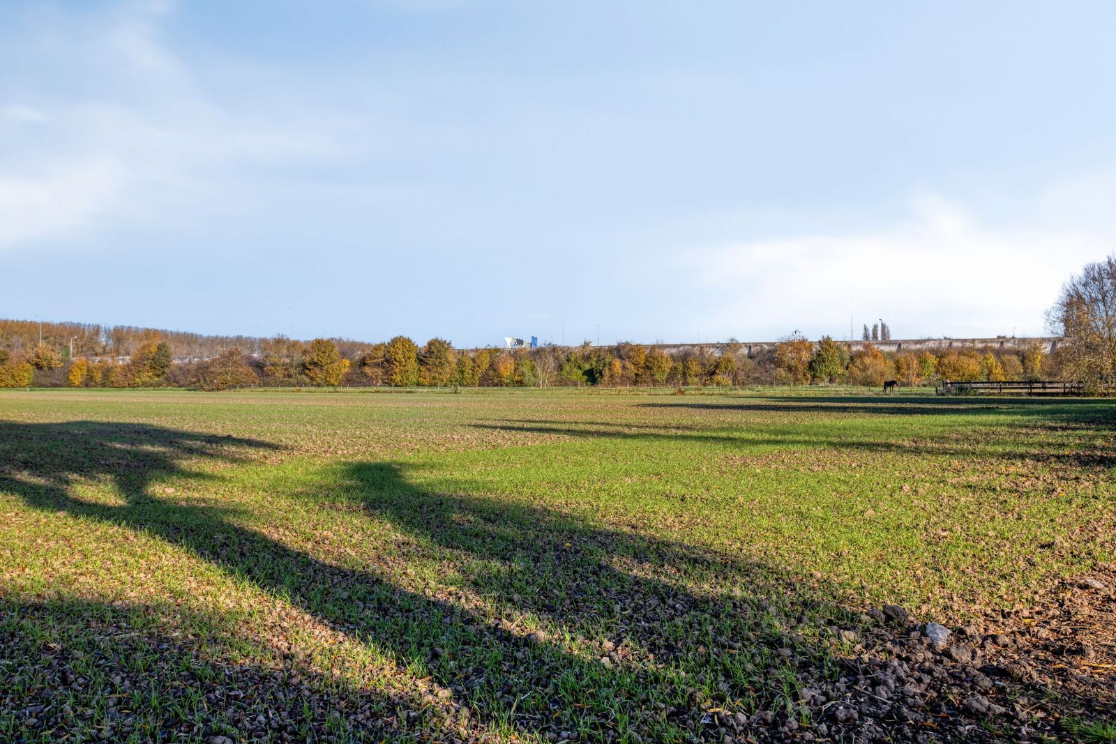 Foto 21 van Witbloemstraat 3