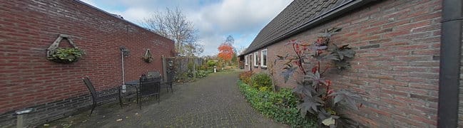 achtertuin