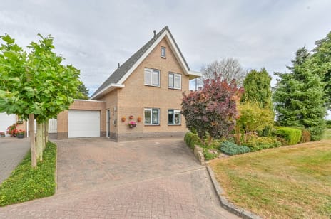 Wollegras 12 tertiary image