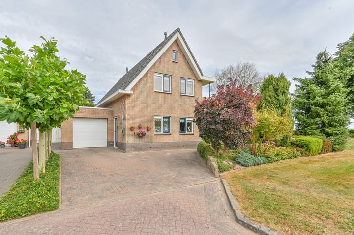 Photo 3 of Wollegras 12