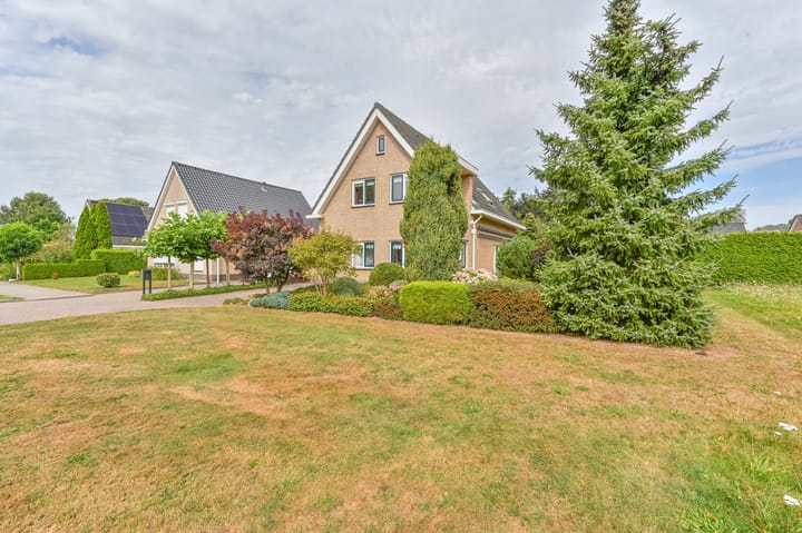 Photo 4 of Wollegras 12