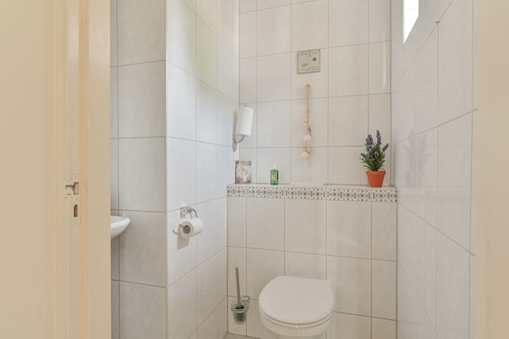 Photo 9 of Wollegras 12