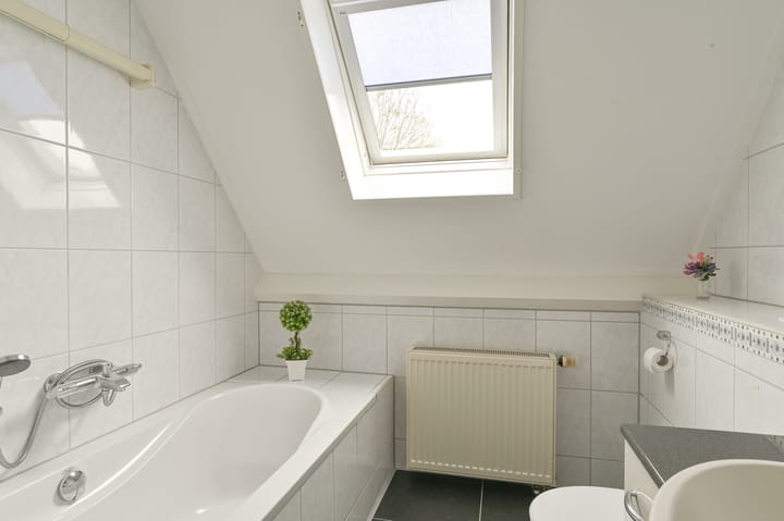 Photo 37 of Wollegras 12