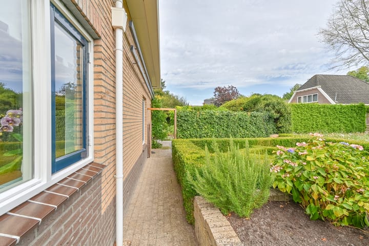 Photo 48 of Wollegras 12