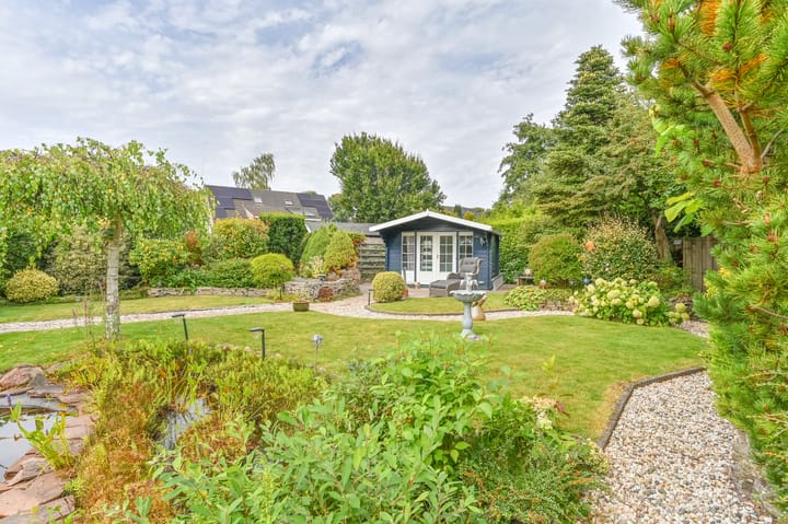 Photo 49 of Wollegras 12