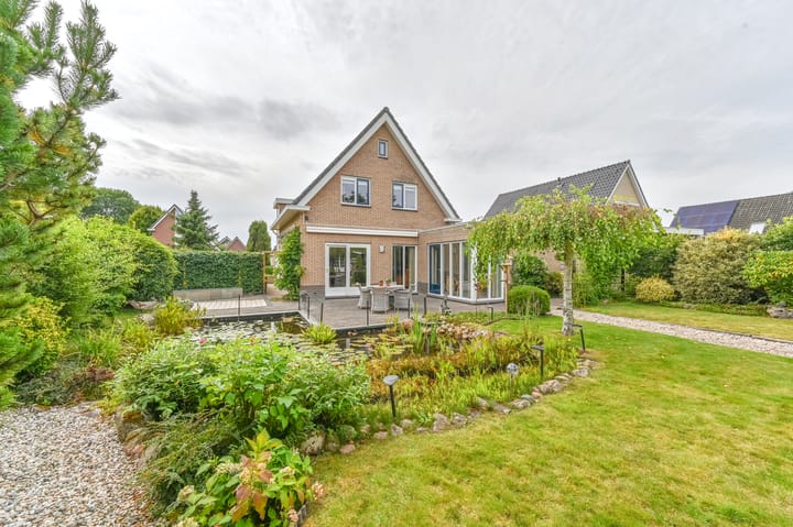 Photo 50 of Wollegras 12