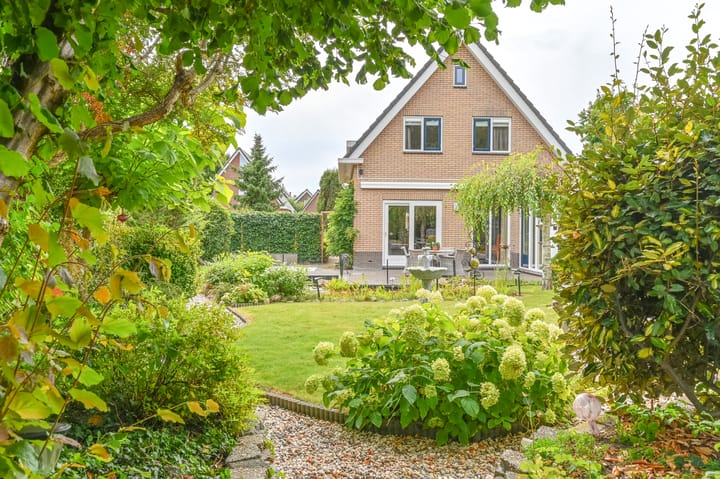 Photo 52 of Wollegras 12