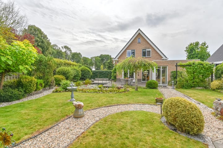 Photo 53 of Wollegras 12