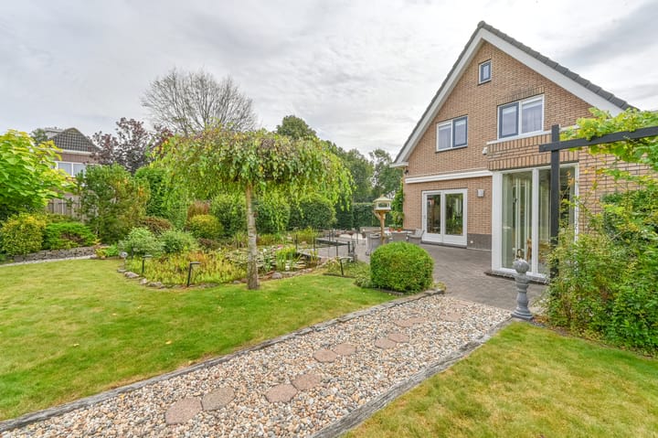 Photo 55 of Wollegras 12