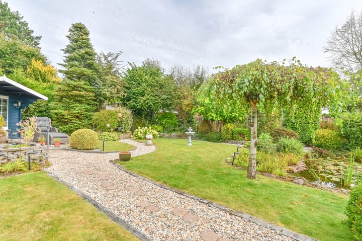 Photo 56 of Wollegras 12