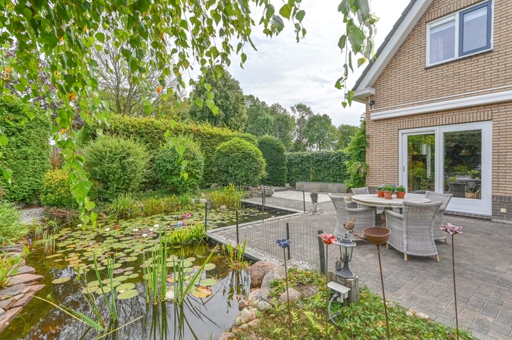 Photo 58 of Wollegras 12