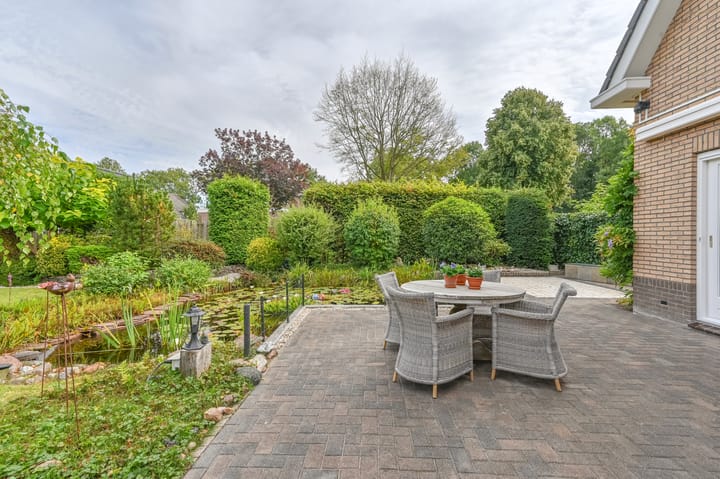 Photo 59 of Wollegras 12