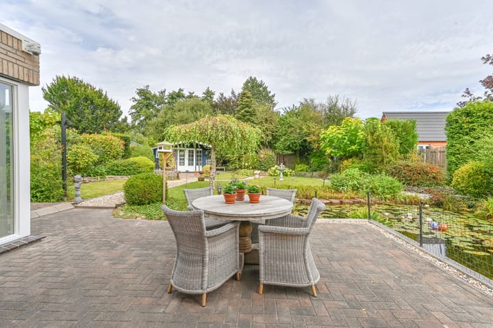 Photo 60 of Wollegras 12