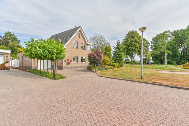 Photo 61 of Wollegras 12