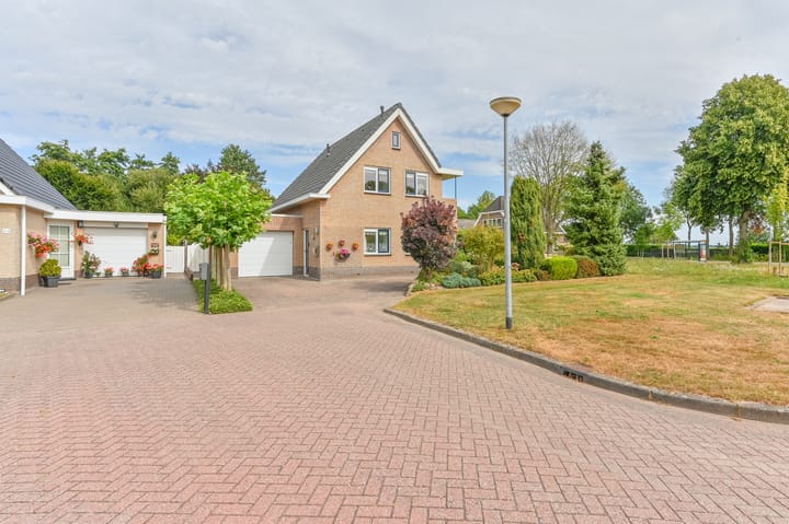 Photo 62 of Wollegras 12