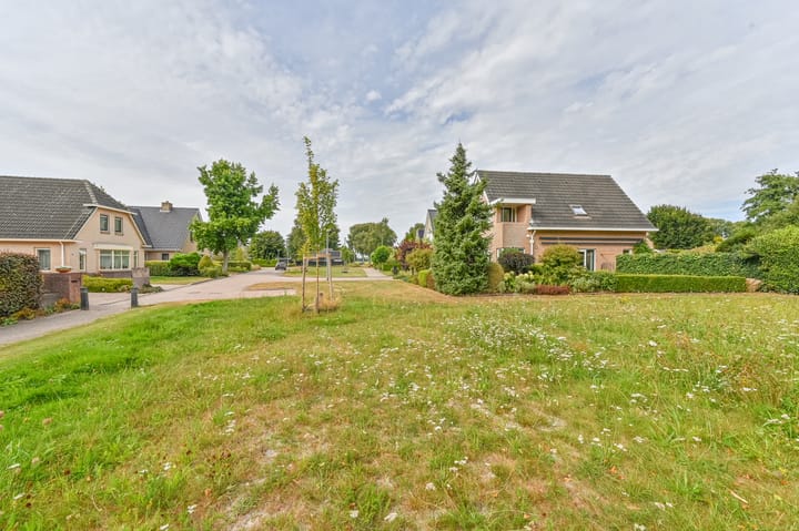 Photo 63 of Wollegras 12