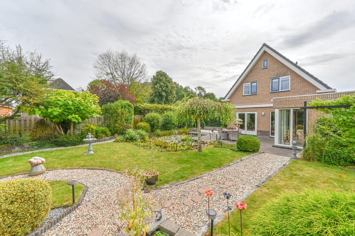 Photo 54 of Wollegras 12