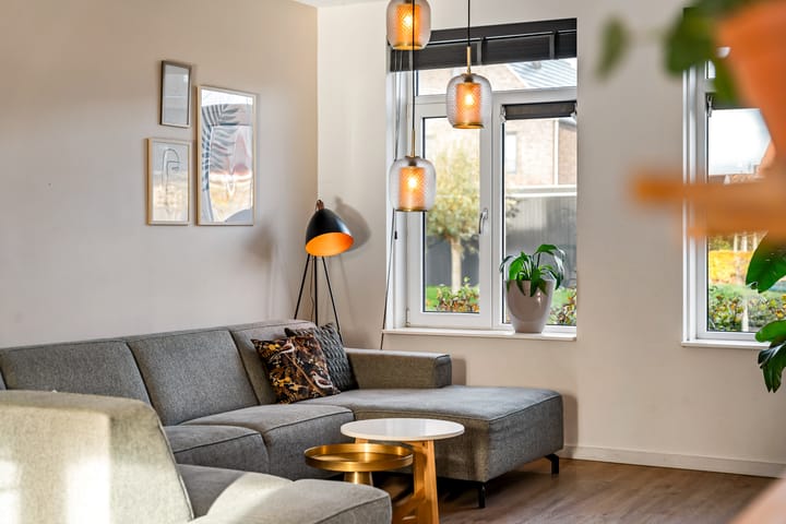 Foto 2 van De Skâns 38