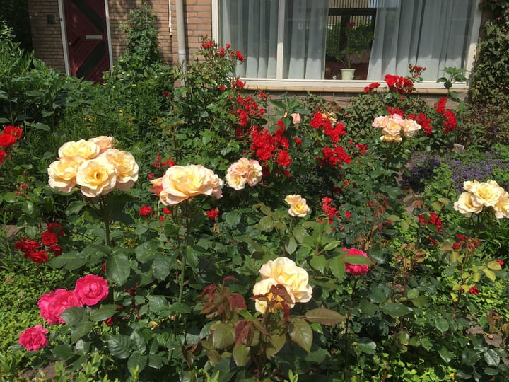 Photo 46 of Guido Gezellelaan 12