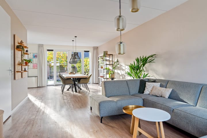 Foto 15 van De Skâns 38