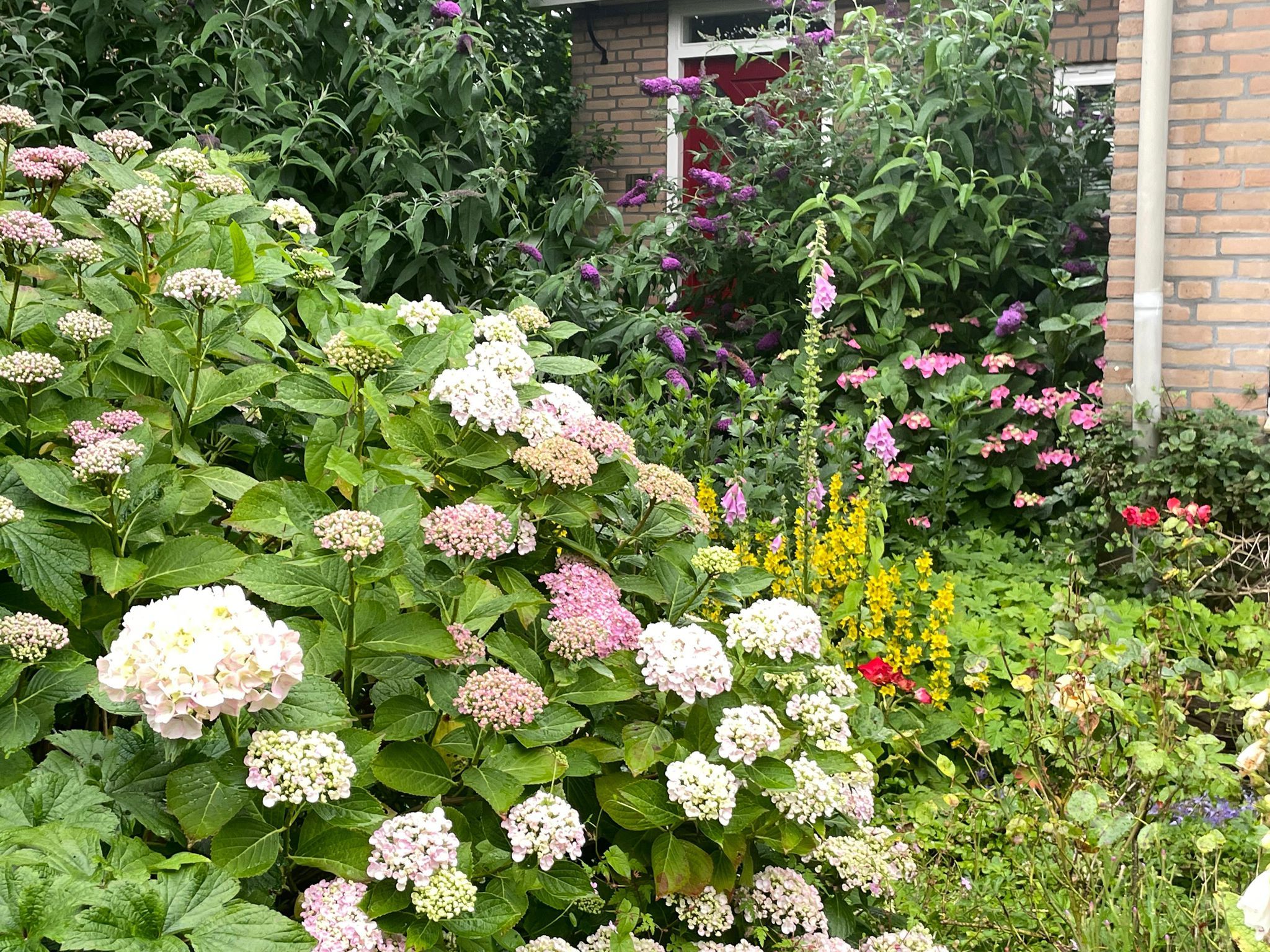 Foto 51 van Guido Gezellelaan 12