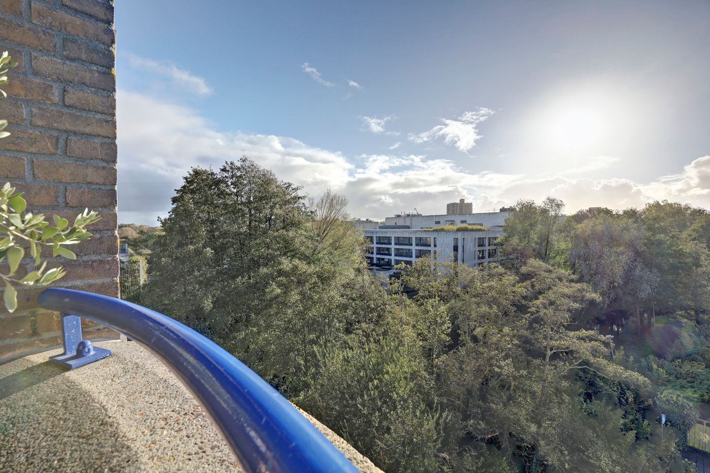 Foto 10 van Margarethaland 477