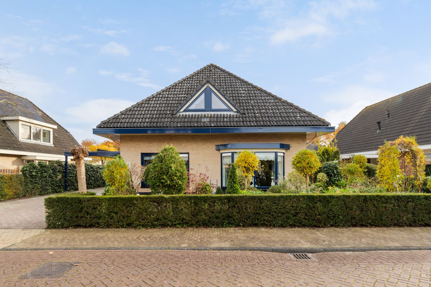 Foto 5 van Dovenetel 4